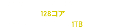 StorageNVMe RAID 10 vCPU128 Memory512GB1TB