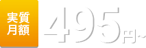 ¼495(ǹ)