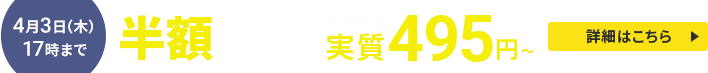 半額キャッシュバックキャンペーン！圧倒的ハイスペックサーバーが実質月額495円から使える！＼3/4（火）17:00まで　詳細はこちら／